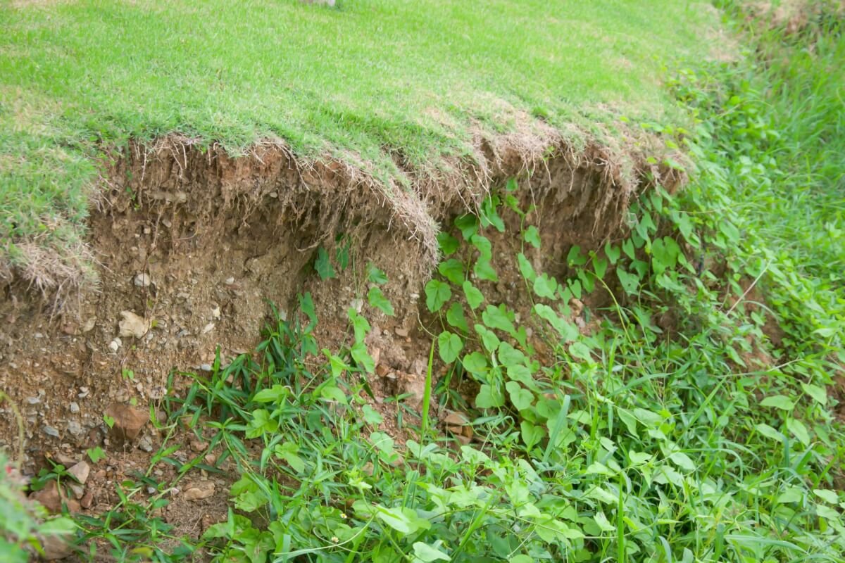 Soil erosion