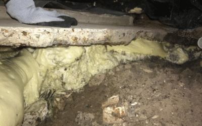 Concrete Leveling vs. Concrete Replacement: Which Solution Is Right for Your Property?