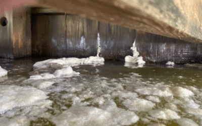 Sinking Concrete Behind Your Bulkhead? What Galveston Waterfront Property Owners Need to Know