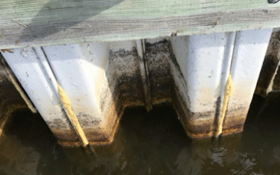 Why Is the Ground Sinking Behind My Bulkhead? Understanding Soil Loss and Void Formation